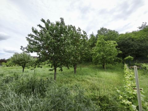 Eladó Telek 2457 Adony Adony Szőlőhegyén, 2230 m2 erdős terület eladó!