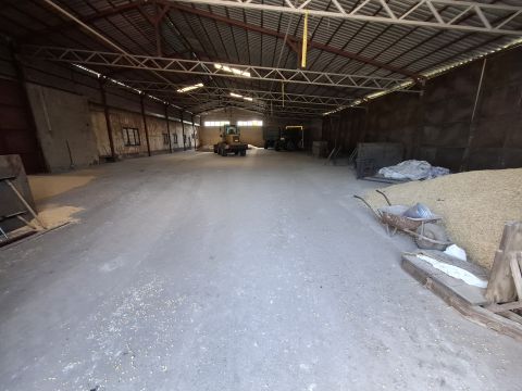 Kiadó Tároló/Raktár 6100 Kiskunfélegyháza , 714 m2-es raktár és 200 m2-es műhely kiadó