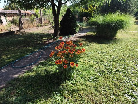 Eladó Ház 2336 Dunavarsány , Beleszeretős családi ház Dunavarsányban, idilli kerttel
