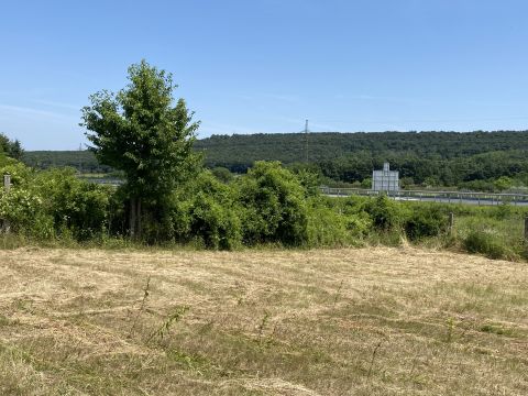 Eladó Telek 9400 Sopron Elkerülő útnál gyümölcsös eladó!