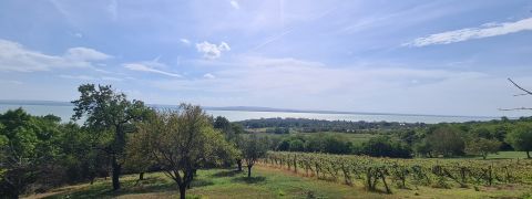 Eladó Ház 8252 Balatonszepezd 