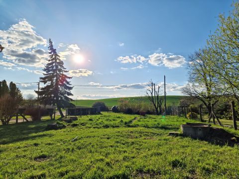 Eladó Telek 2528 Úny 