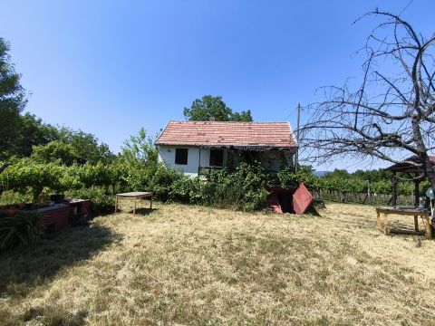 Eladó Ház 8649 Balatonberény 