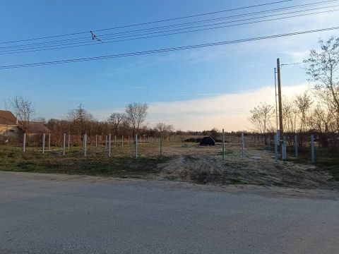 Eladó Telek 2243 Kóka 