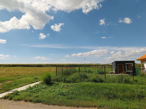 Eladó Telek 7762 Pécsudvard 