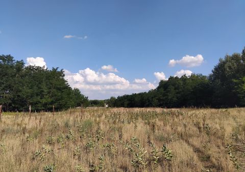 Eladó Mezőgazdasági 6050 Lajosmizse , Lajosmizse, Zártkert