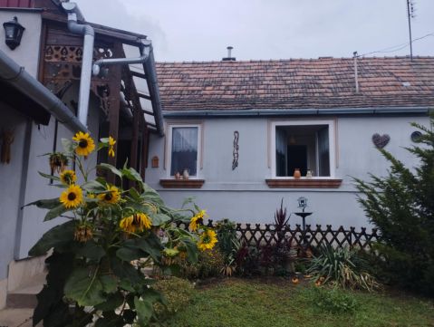 Eladó Ház 2641 Berkenye 