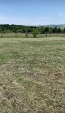Eladó Telek 2092 Budakeszi Meggyesben ideális telek eladó