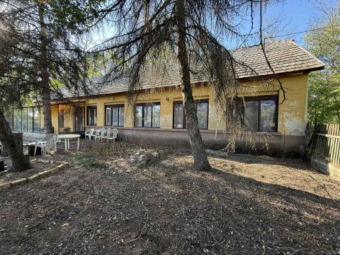 Eladó Ház 6077 Orgovány , 23 hektár saját birodalom – szomszédok nem járnak hozzá!
