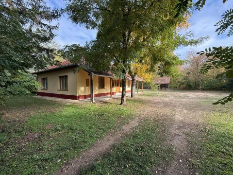 Eladó Ház 6050 Lajosmizse FELÚJÍTOTT TANYA  6000 m2 TERÜLETTEL