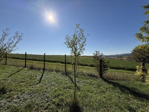 Eladó Telek 9793 Narda 