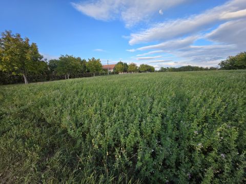 Eladó Telek 2344 Dömsöd 