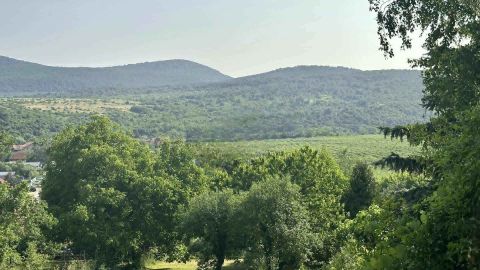 Eladó Telek 2013 Pomáz 