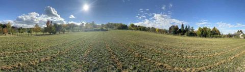 Eladó Telek 9082 Nyúl , Főút közelében