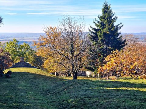 Eladó Ház 8353 Zalaszántó különleges földpince, 2010-ben épült