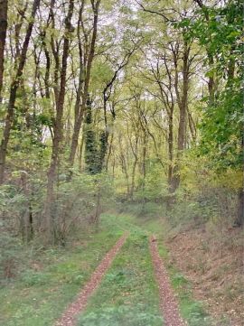 Eladó Telek 8943 Bocfölde 