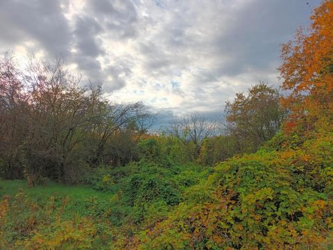 Eladó Telek 8796 Türje 