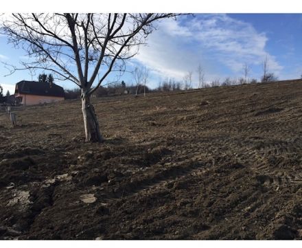 Eladó Telek 7400 Kaposvár 