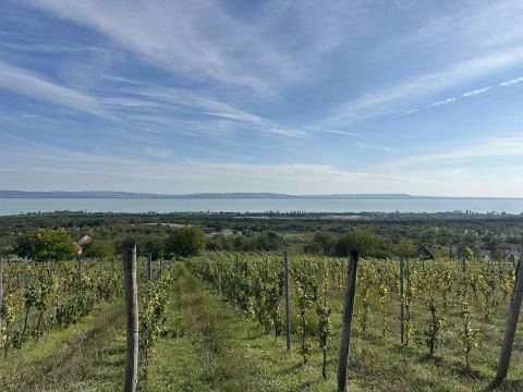Eladó Telek 8243 Balatonakali , Gyönyörű panorámás 