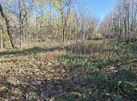 Eladó Telek 1174 Budapest 17. kerület Zártkerti telek