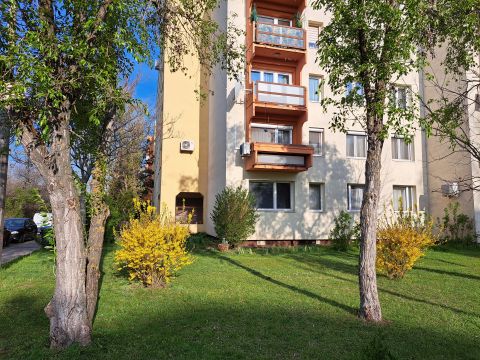 Eladó Lakás 1173 Budapest 17. kerület Parkra néző lakás 4 emeletes, panelprogramos házban