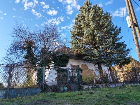 Eladó Ház 2243 Kóka , Kóka csendes, aszfaltozott kis utcájában