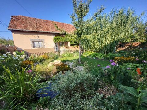 Eladó Ház 2220 Vecsés 2220 Vecsés, Kertvárosi