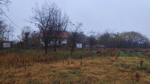 Eladó Ház 2351 Alsónémedi 2,2  ha tanya Alsónémedin padlófűtéses házzal