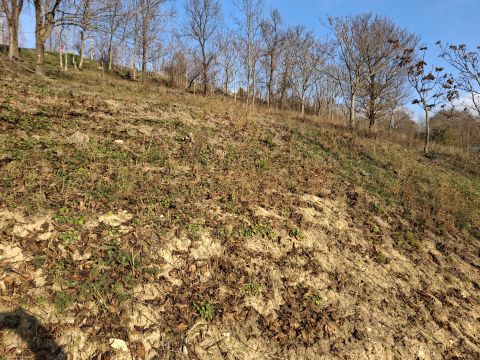 Eladó Telek 2064 Csabdi 