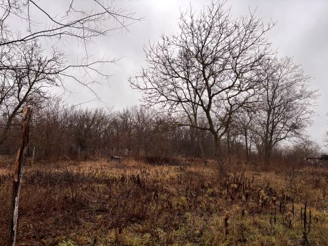 Eladó Telek 2162 Őrbottyán Csendes utcában építési telek eladó