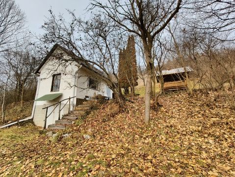 Eladó Mezőgazdasági 3643 Dédestapolcsány 