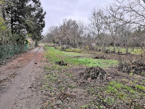 Eladó Telek 2021 Tahitótfalu , Szentpéterek