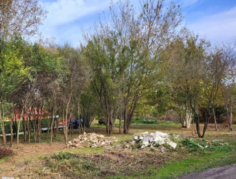 Eladó Telek 2065 Mány 