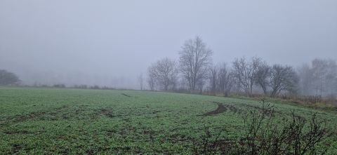 Eladó Telek 8640 Fonyód , Szántó