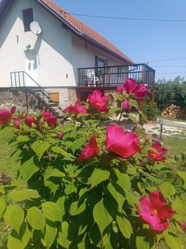 Eladó Ház 7627 Pécs 