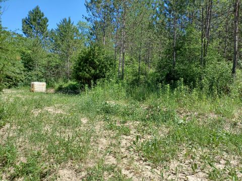 Eladó Telek 8230 Balatonfüred , Béke utca küzeli