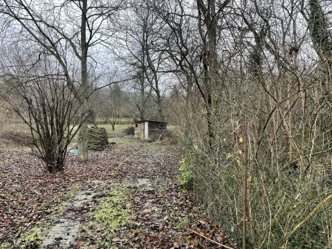 Eladó Telek 2089 Telki 