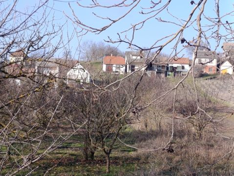 Eladó Ház 7700 Mohács 