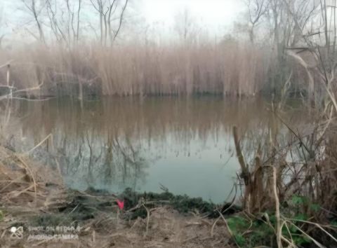 Eladó Telek 5211 Tiszapüspöki Samyak zártkert