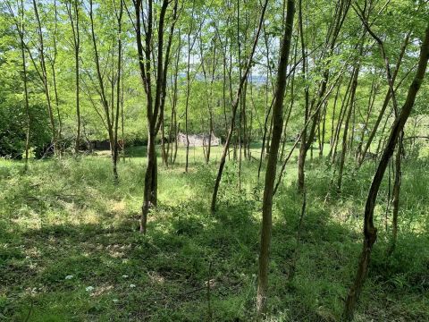 Eladó Ház 8297 Tapolca 