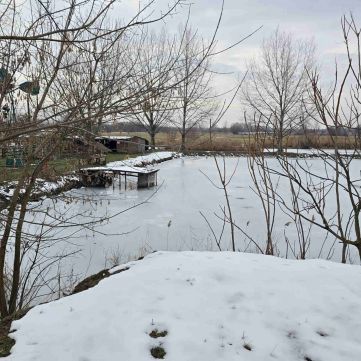 Eladó Ház 6239 Császártöltés HALASTAVAK / ÁLLATSIMOGATÓ / PRÉMIUM OTTHON EGYBEN!