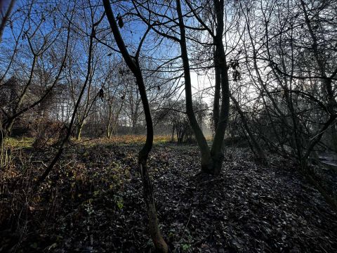 Eladó Telek 8556 Pápateszér 