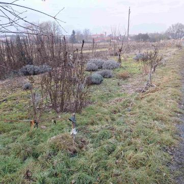 Eladó Telek 9900 Körmend 