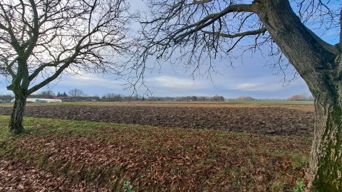 Eladó Telek 7843 Kémes 