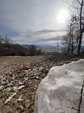 Eladó Telek 8245 Pécsely , Pécsely