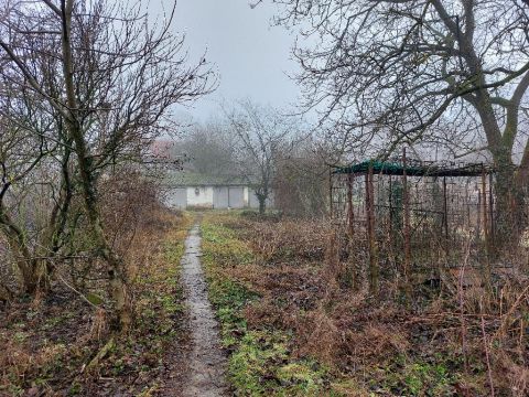 Eladó Lakás 2170 Aszód , 2170 Aszód, Frekventált