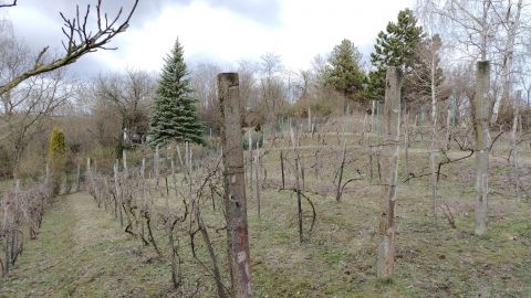 Eladó Ház 8654 Ságvár 