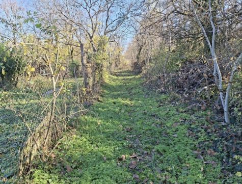 Eladó Telek 1174 Budapest 17. kerület , Rákoshegy