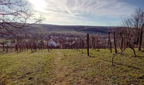 Eladó Ház 8618 Kereki , Felújított, zártkerti, 32 nm-es pince,13 nm-es terasszal