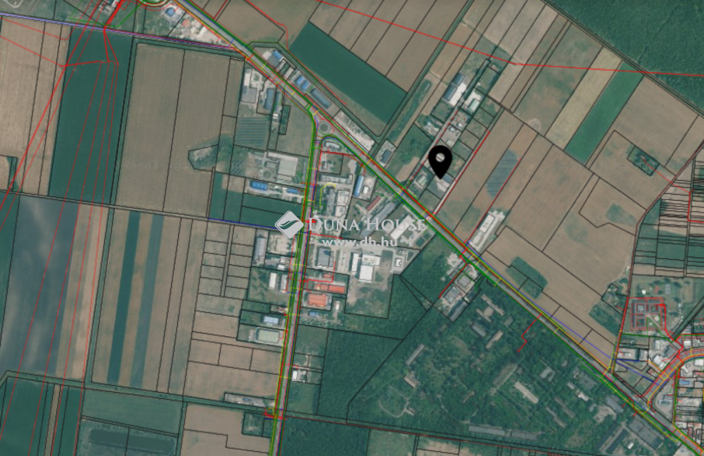 5000 Szolnok — 1/9